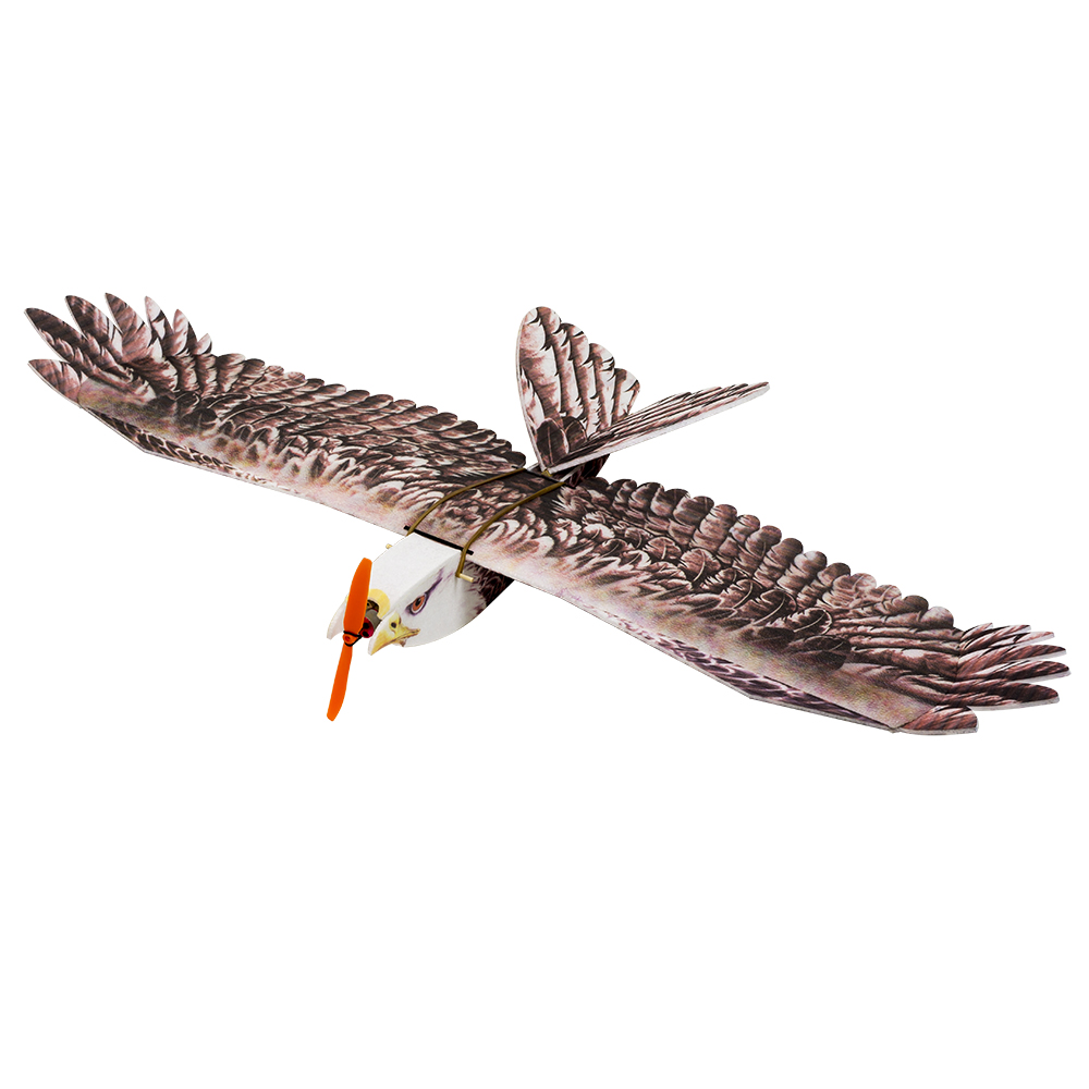 DW Hobby Eagle II EPP Airplane - Rc Hobby Plane review and price