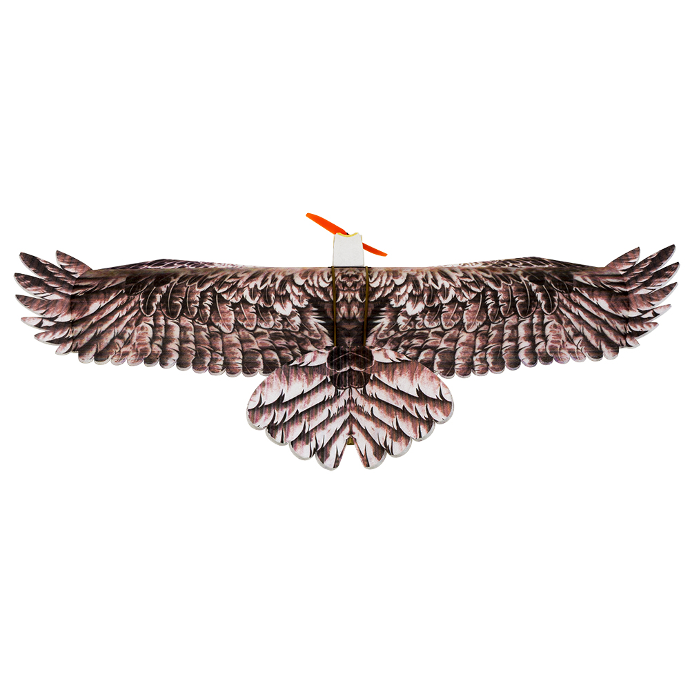 DW Hobby Eagle II EPP Airplane - Rc Hobby Plane review and price