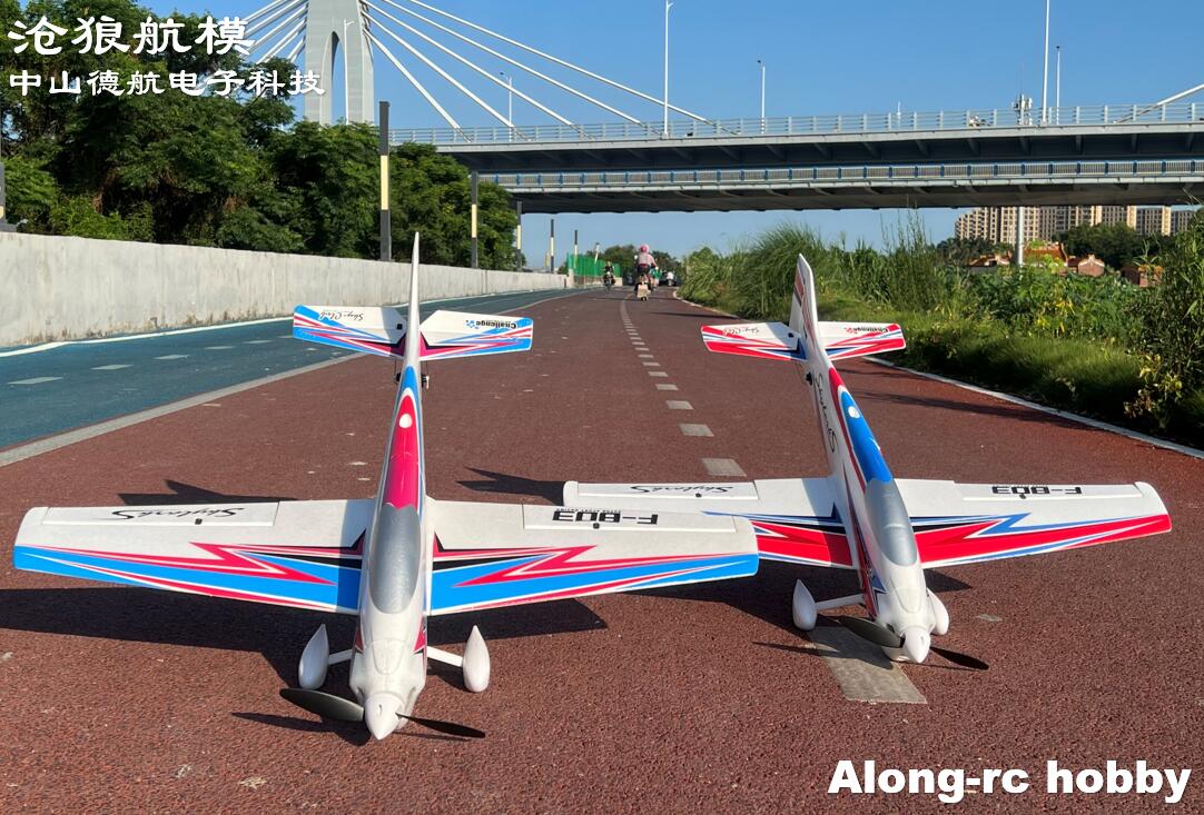 F803  F3A Skylarks 1000mm Wing - Rc Hobby Plane review and price