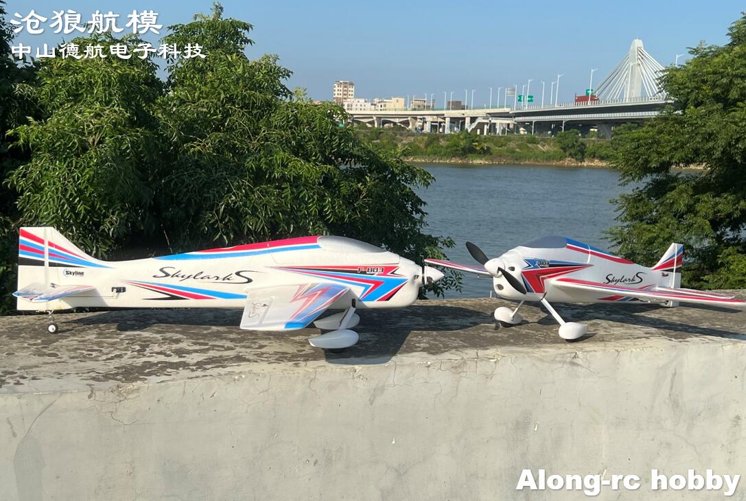 F803  F3A Skylarks 1000mm Wing - Rc Hobby Plane review and price